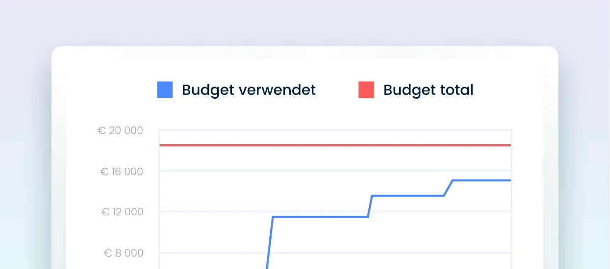 Budgetauswertung
