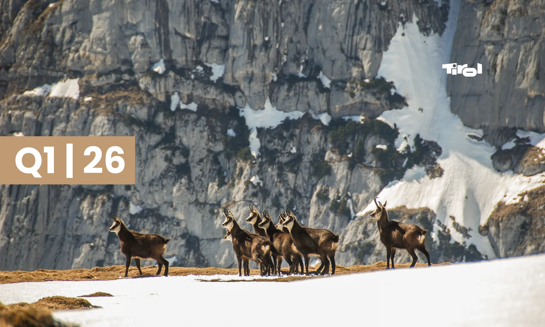 Wiederkehrende Ausgangsrechnungen und Leistungsbilder